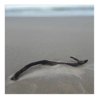 Justyna Napiórkowska, Breathless, 2019 For Sale