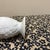 Ceramic Mid-Century Modern White Bisque Porcelain Hummingbird & Lilac Vase by Cheryl Johnson for Goebel For Sale - Image 7 of 8