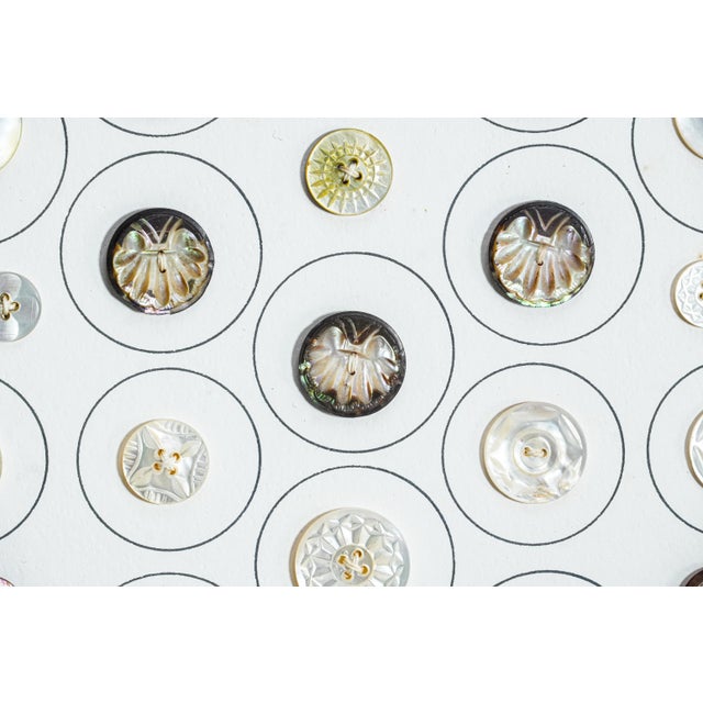 Fascinating Collection of Framed Mother of Pearl Antique Buttons Clothing Fashion For Sale - Image 10 of 14