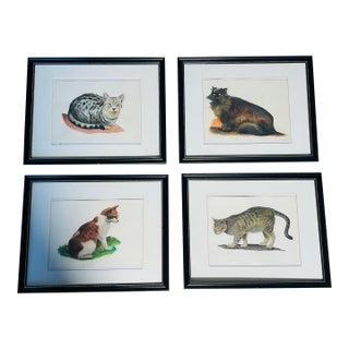 1970s Set of 4 Watercolor Cat Portraits Framed For Sale