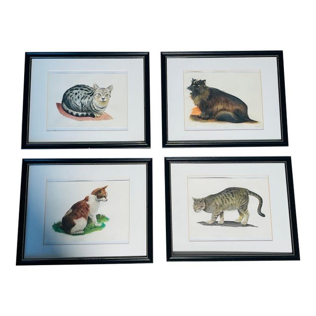 1970s Set of 4 Watercolor Cat Portraits Framed For Sale