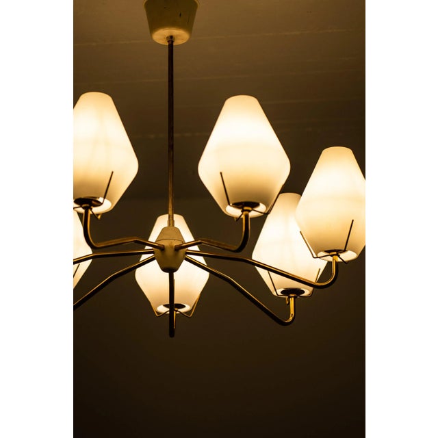 1950s Scandinavian Modern Brass and Opaline Glass Ceiling Lamp, 1950s For Sale - Image 5 of 7