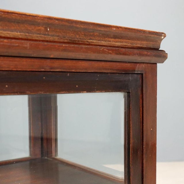 Brown 19th Century Walnut Display Table, Italy For Sale - Image 8 of 12