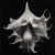 Brugmansia Flower No. 2 — Black and White Vintage Botanical Photography Print For Sale