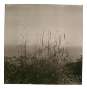 Ugne Pouwell, Lerici 257, 2025, Photograph, Limited Edition of 20