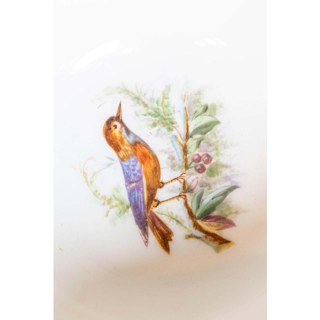 19th Century 19th Century French Porcelain For Sale - Image 5 of 6