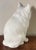 Antique 19th Century Japanese Meiji Okimono Blanc De Chine Porcelain Figure of a Cat For Sale - Image 10 of 12