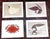 Realism Vintage Charley Harper Modernist Abstracted Bird Lithographs (10.75" X 8.25") - Set of 9 For Sale - Image 3 of 11