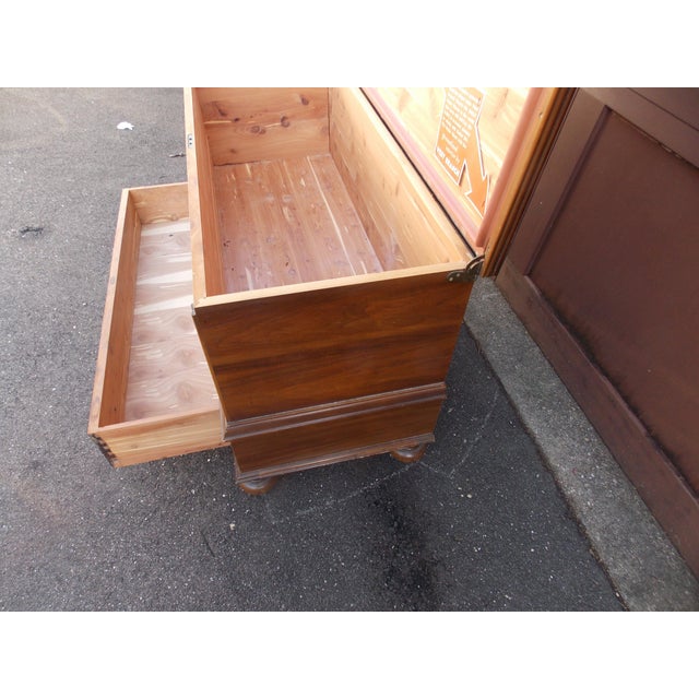 Early 19th Century West Branch Carved Cedar Chest For Sale - Image 4 of 10