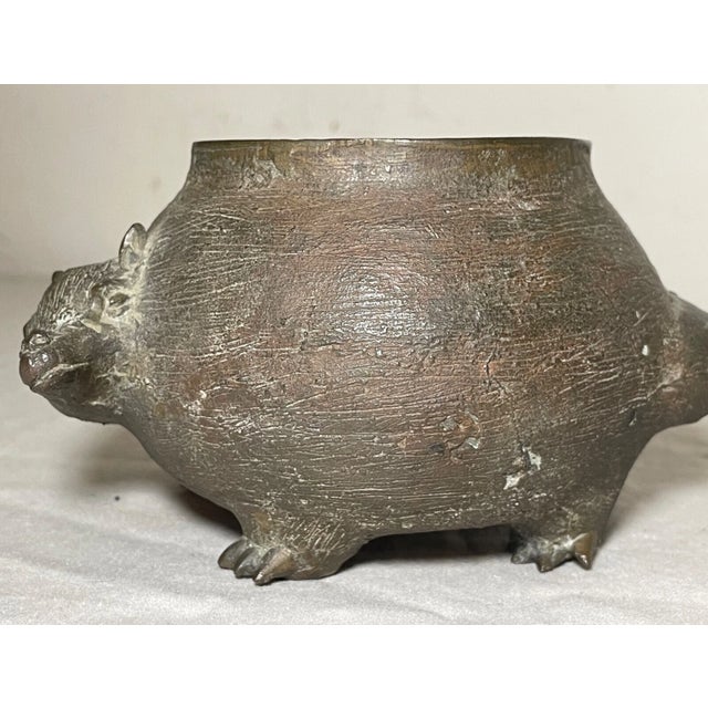 Antique 19th Century Solid Bronze Armadillo Figural Animal Bowl Sculpture Statue For Sale - Image 12 of 14