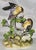 Wonderful bisque porcelain figurine of goldfinches by Andrea of Sadek. Adds vibrant color to any niche. Made in Japan.