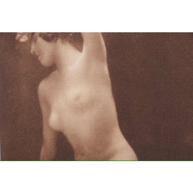 Collection of Three Nude Photogravures From "Woman, Nature and Civilization," 1925 For Sale In Columbus - Image 6 of 14