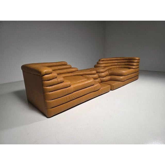 DS-1025 Terrazza Sofas by Ubald Klug for De Sede, 1980s, Set of 2 For Sale - Image 10 of 10