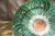 19th Century Qing Chinese Bok Choi Cabbage Porcelain Plates, Set of 2 For Sale - Image 15 of 18