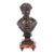 Jean Jules Salmson Goddess Patinated Bronze Bust For Sale