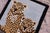 Contemporary Baby Leopard Animal Design Area Rug For Sale - Image 9 of 13