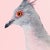 Contemporary Contemporary Limited Edition Crested Pigeon Print (40x50") by Brendan Burden For Sale - Image 3 of 4