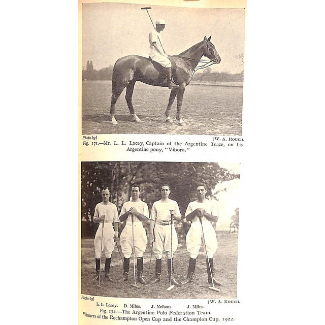 Mid 20th Century "Modern Polo" Miller, Lieut. Colonel e.d., c.b.e., d.s.o. For Sale - Image 5 of 12