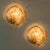 Clear Glass Leaf Wall Sconces,1970, Set of 2 For Sale - Image 8 of 12