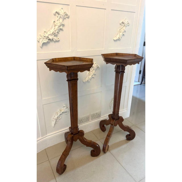 Antique Dutch Walnut and Kingwood Pedestal Torcheres, 1800, Set of 2 For Sale - Image 6 of 17