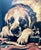 Vintage Canvas on Board Print of Dogs Enjoying a Bone For Sale - Image 4 of 6