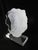 Frederick Hart Acrylic Light Whispers Signed Limited Female Nude Art Sculpture For Sale - Image 15 of 17