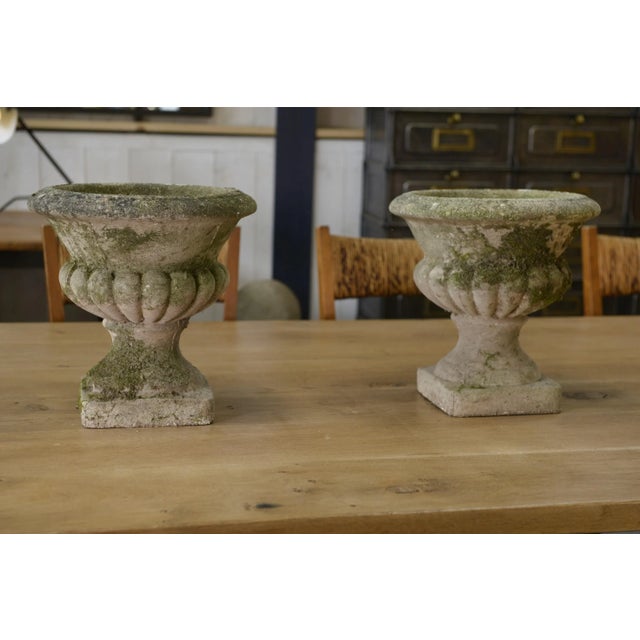 Medici Vases in Reconstituted Stone, 1950s, Set of 2 For Sale - Image 9 of 12