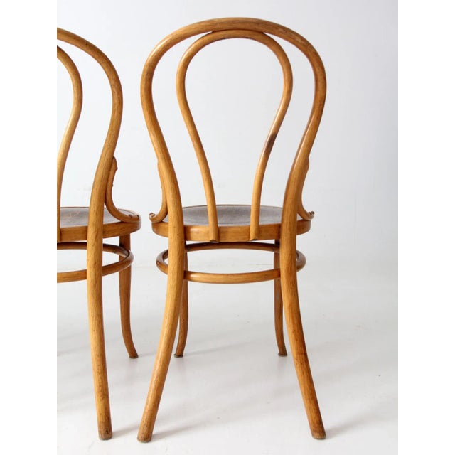 Antique Thonet Bentwood Chairs Set of 4 For Sale - Image 10 of 13