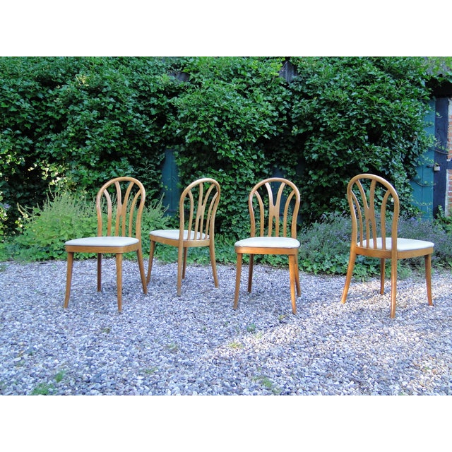 1950s Vintage Chairs in Beech from a Cafe, 1950s, Set of 4 For Sale - Image 5 of 12