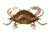 Mid 20th Century Vintage, Mid Century Los Castillo Style Brass, Copper & Abalone Crab Trinket Dish / Vide Poche / Catchall For Sale - Image 5 of 7
