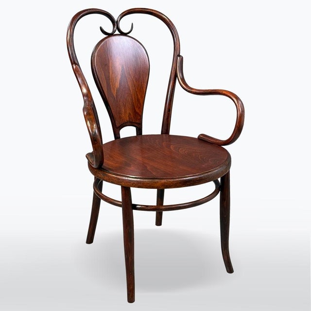Brown Antique Bentwood Armchair from Fischel, 1915 For Sale - Image 8 of 8