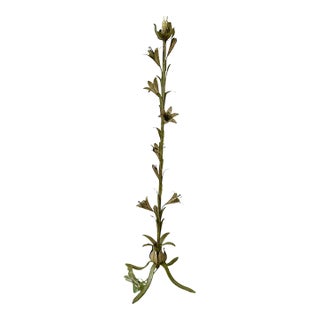 Vintage Italian Floral Tole Floor Lamp For Sale