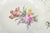 Deep Porcelain Plate with Floral Motif from Royal Copenhagen, Early 20th Century For Sale - Image 3 of 5