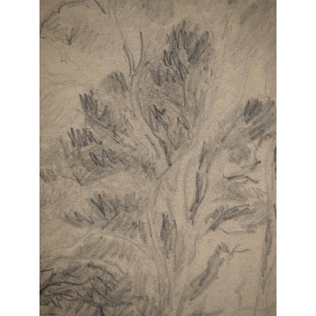 Maximilien Luce, Trees on the Edge of the Forest, Original Drawing For Sale - Image 5 of 6