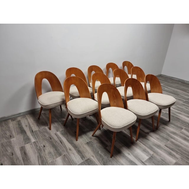 Brown Dining Chairs from Antonin Suman, 1960s, Set of 12 For Sale - Image 8 of 18