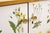 Vintage Cabinet with Illustrations Nordens Flora by C.A.M Lindman, 1950s For Sale - Image 3 of 8