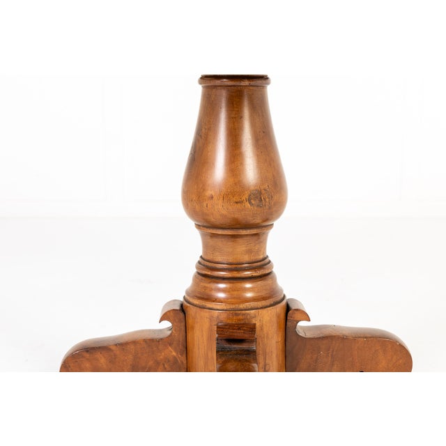 Antique Italian Specimen Centre Table in Walnut with Marble Top, 1800s For Sale - Image 4 of 12