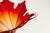 Orange and Red Murano Glass Vase from Fratelli Toso, 1960s For Sale - Image 10 of 15
