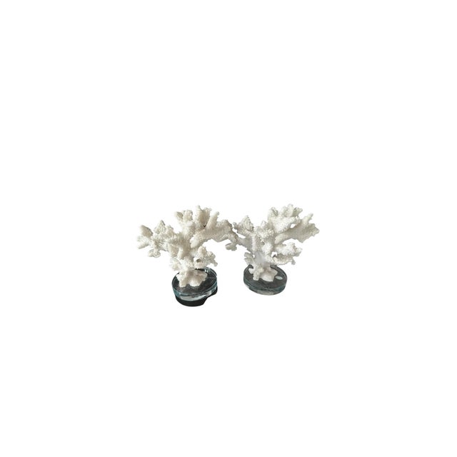 White Set of Two Faux White Coral Vintage Sculptures Decor Pieces on Clear Plexiglass For Sale - Image 8 of 8