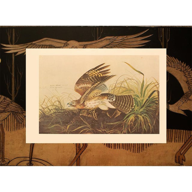 Farmhouse 1966 Vintage Farmhouse Cottage XL Print "Winter Hawk & Bull Frog" After John James Audubon For Sale - Image 3 of 9