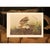 Farmhouse 1966 Vintage Farmhouse Cottage XL Print "Winter Hawk & Bull Frog" After John James Audubon For Sale - Image 3 of 9