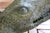 Bronze Vintage Bronze Crocodile Garden Fountain Sculpture, Circa 1970s For Sale - Image 8 of 18