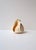 A beautiful natural Tona galea seashell, Organic Modern style, Indo-Pacific, circa early-20th century. A beautifully...