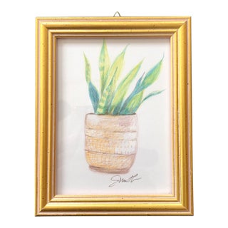 “Mother in Law Plant” Contemporary Botanical Color Pencil Drawing, Framed For Sale