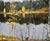 Boris Lavrenko Suggestive work of a lake immersed in a birch forest 1978 This piece is attributed to the mentioned...