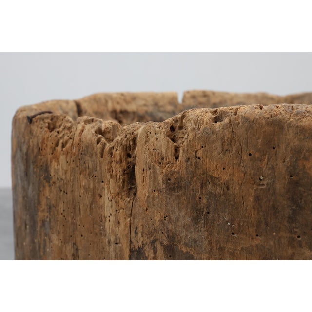 Wood 19th Century French Primitive Hollowed Oak Tree Trunk Planter For Sale - Image 7 of 11