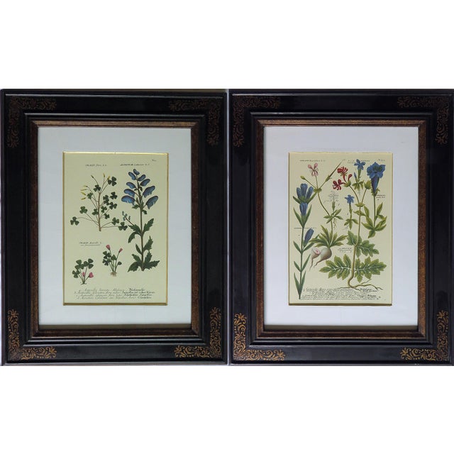 Trowbridge Gallery Art Frames With Botanical Prints a Pair Chairish