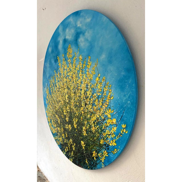 Anastasia Gklava, Flowers of Loussios, 2022, Oil on Canvas For Sale - Image 9 of 10