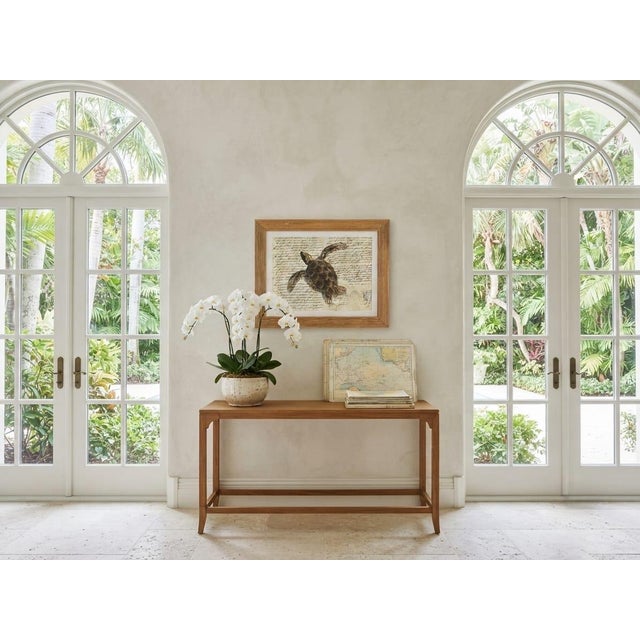 Chocolate Vintage Sea Turtle Script Art Print in Fluted Wooden Frame For Sale - Image 8 of 12