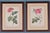 Pierre-Joseph Redouté, Roses, 1950s, Lithographs, Framed, Set of 2 For Sale - Image 17 of 17